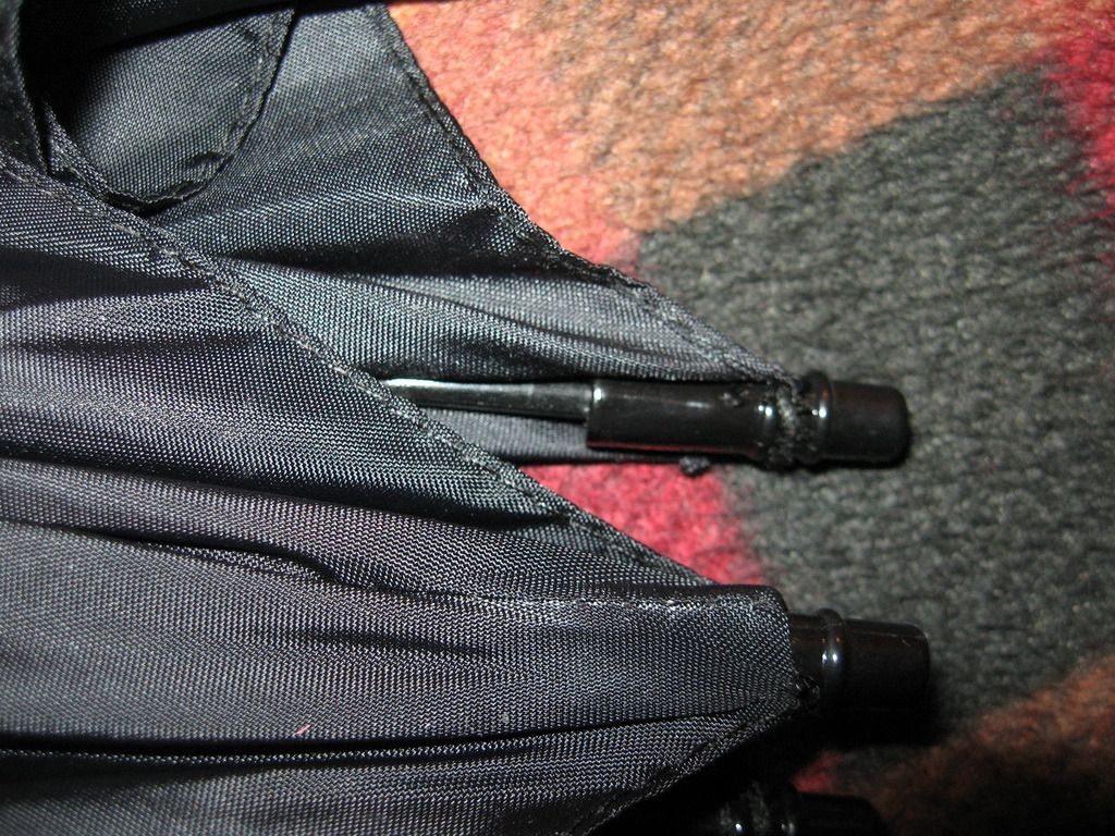 IMG_7412.jpg