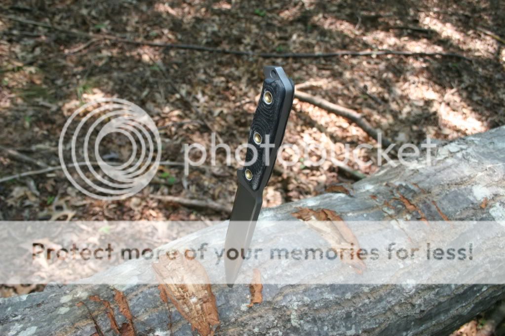 IMG_0568.jpg