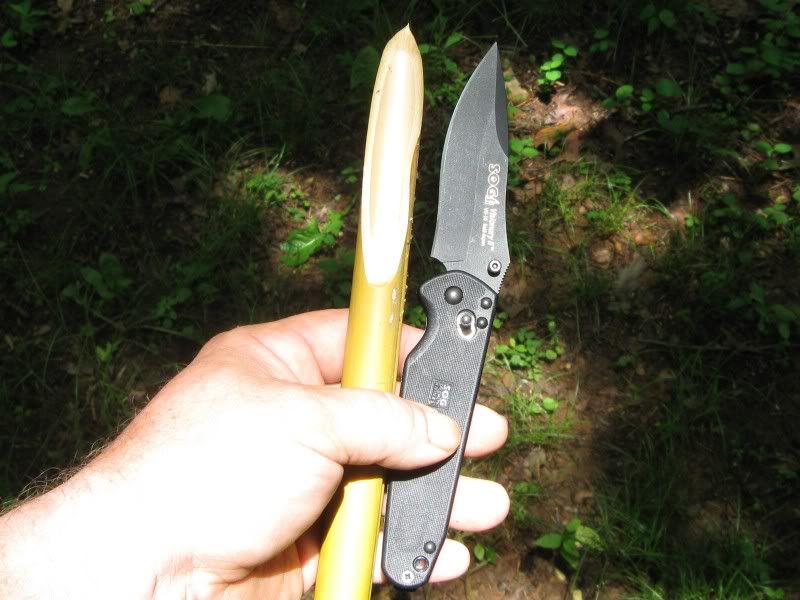 CuttingBamboo-2.jpg