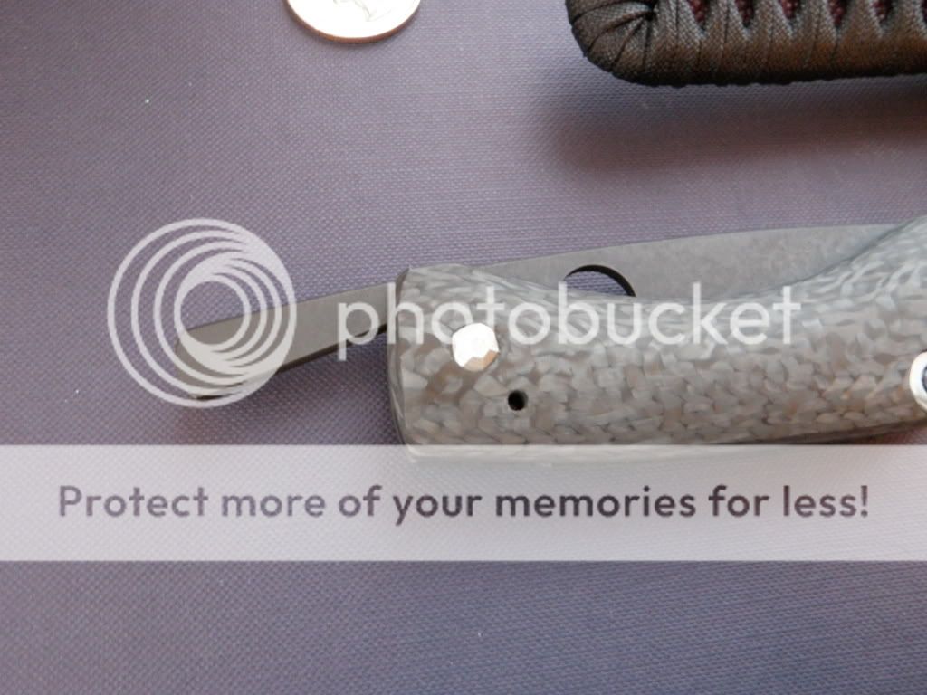 PC260252.jpg