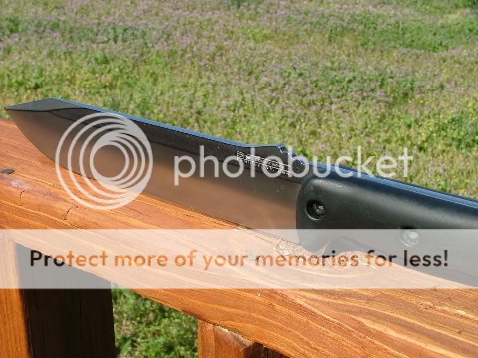 DSCF3448.jpg