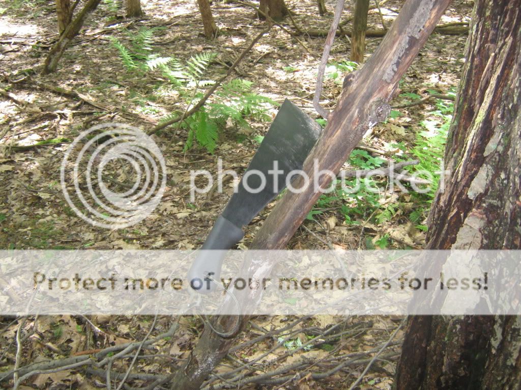 IMG_2763.jpg