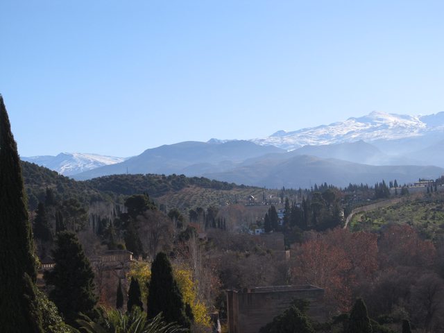 bzOEaRal.jpg
