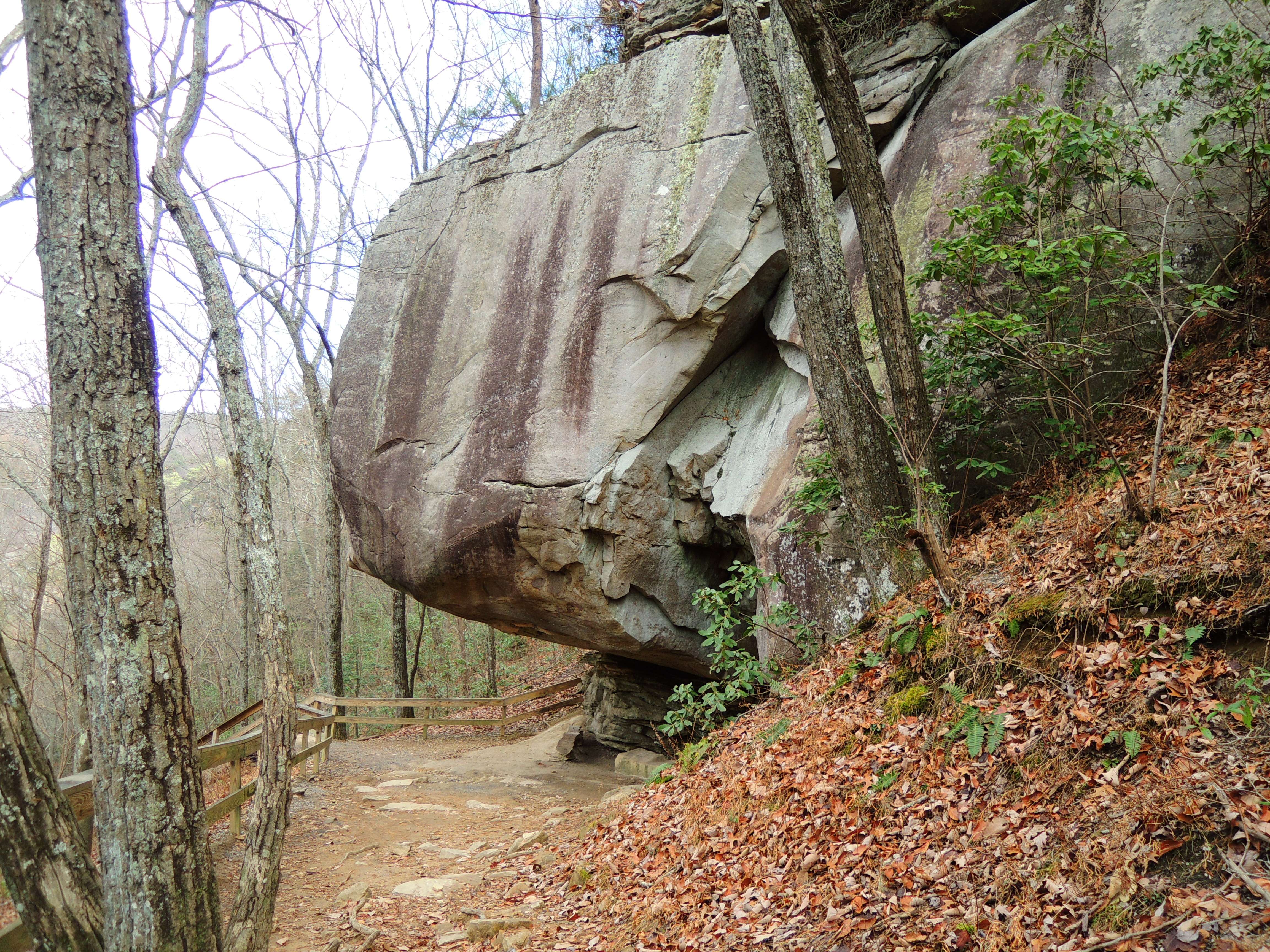 dscn4057r.jpg