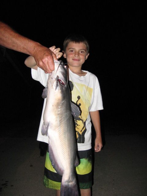 Sethscatfish004.jpg