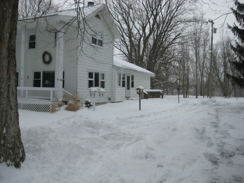 winter2011002.jpg