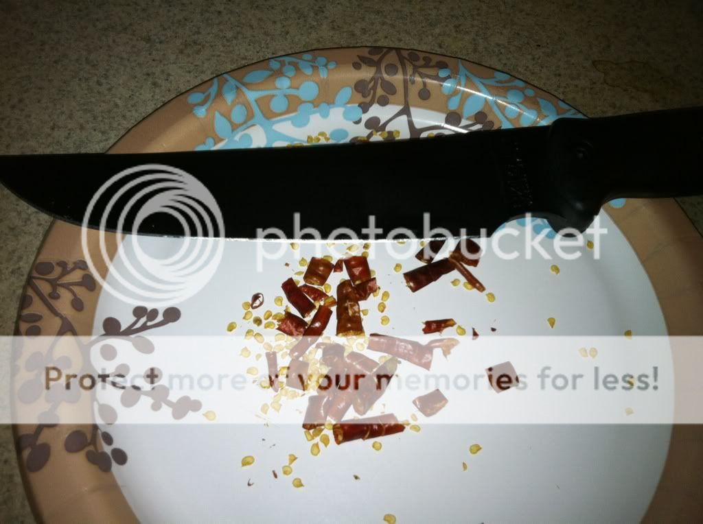 43db7dd3.jpg