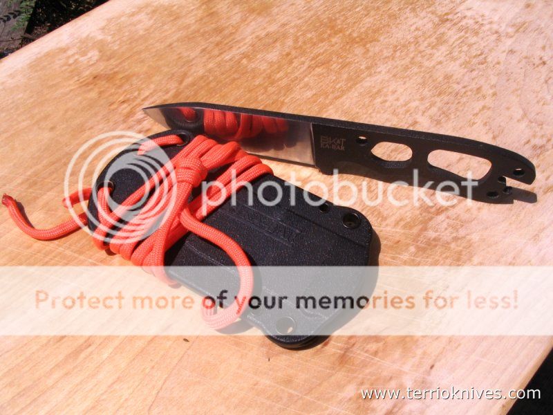 Image2_zps7f5e6e45.jpg