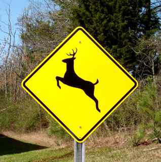 deer_signs.jpg