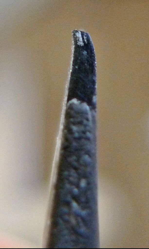 P1130998.jpg