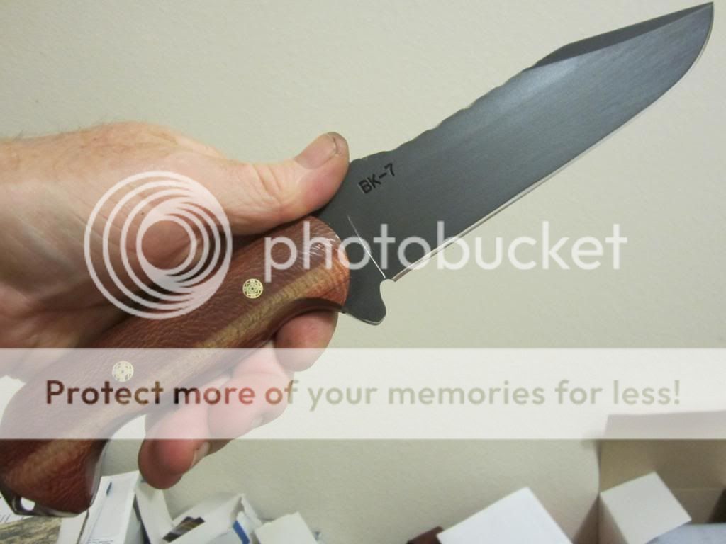 IMG_3526_zps1ac86661.jpg