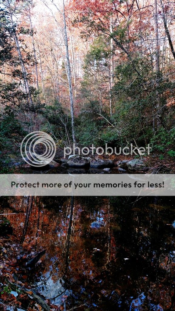 IMG_20161125_132000.jpg