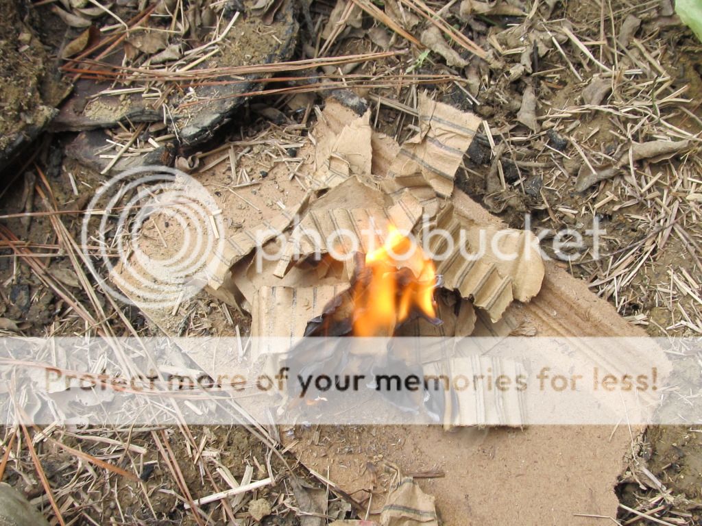 040_zps01b86bf4.jpg