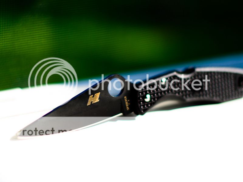 Spydie-H1_zps030e92af.jpg