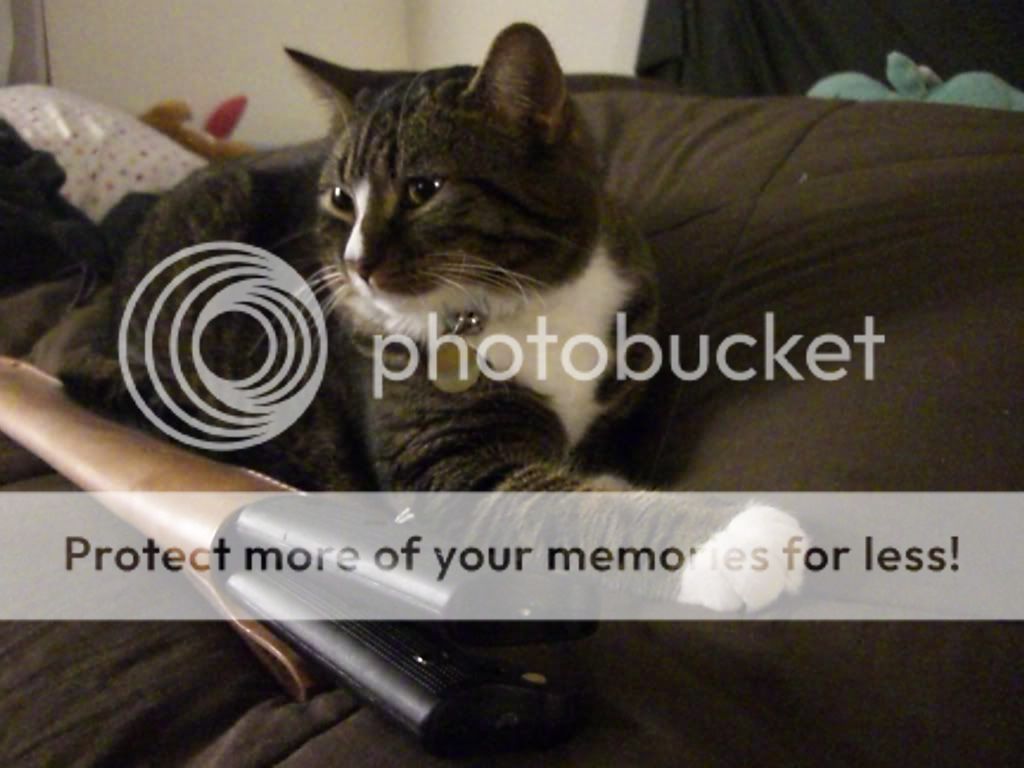 CIMG8039.jpg