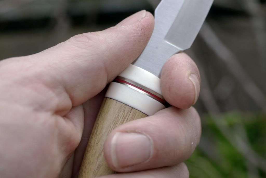 Buck477inHand.jpg