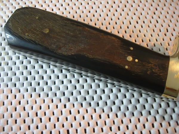 IMG_3270.jpg