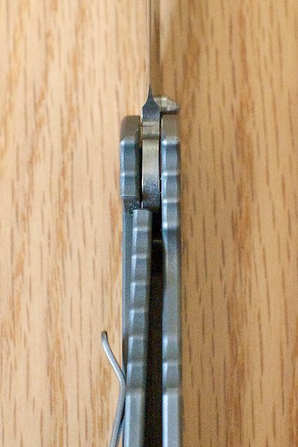 SmallRegularSebenza4.jpg