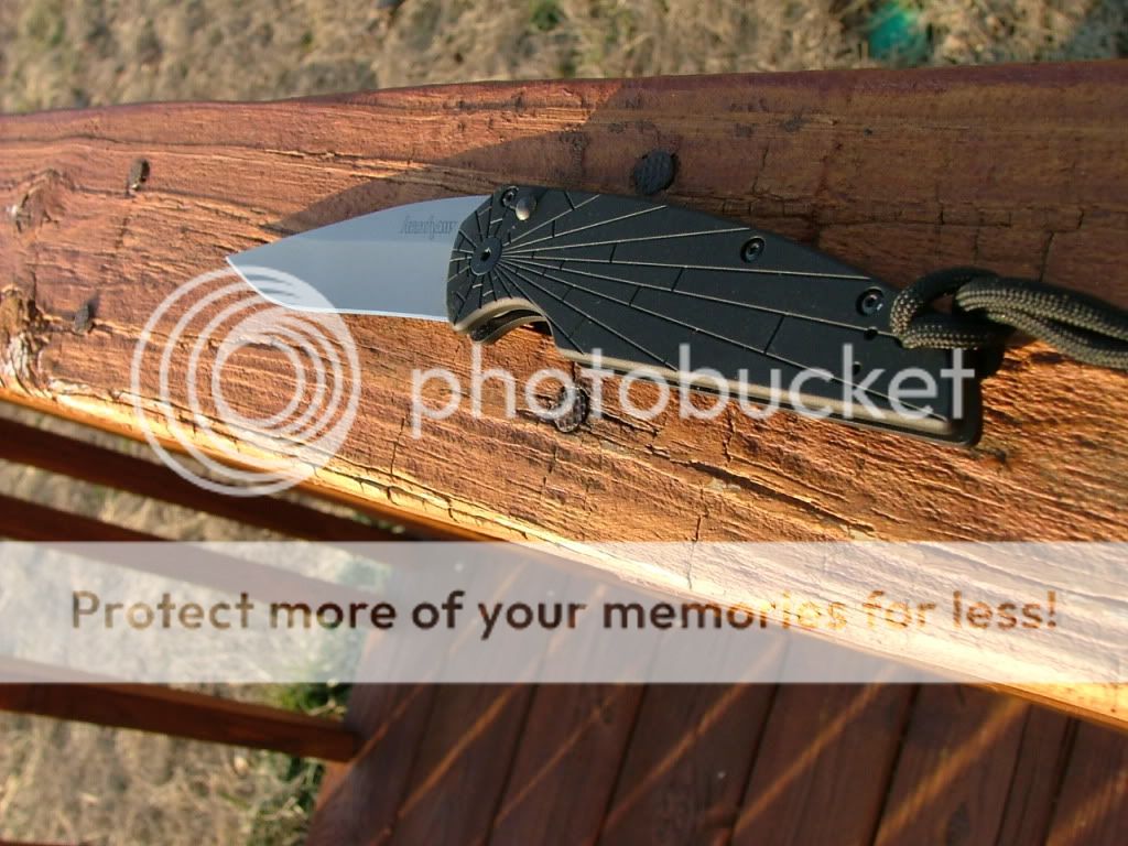 DSCF3232.jpg