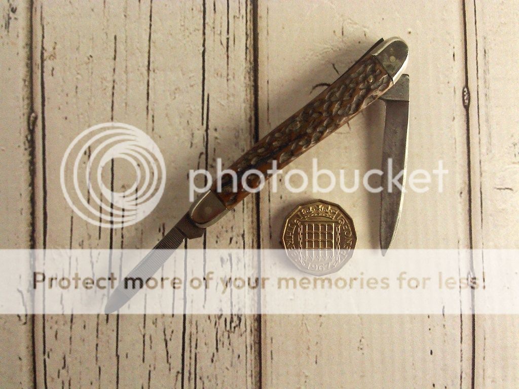 IMG_20140425_132935_zpsrqkness8.jpg