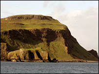 _42172732_canna203nts.jpg