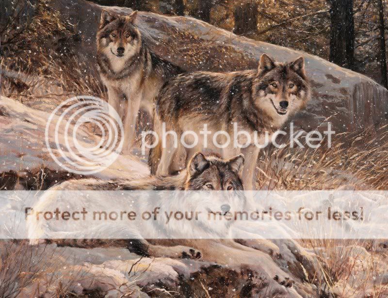 wolves3.jpg