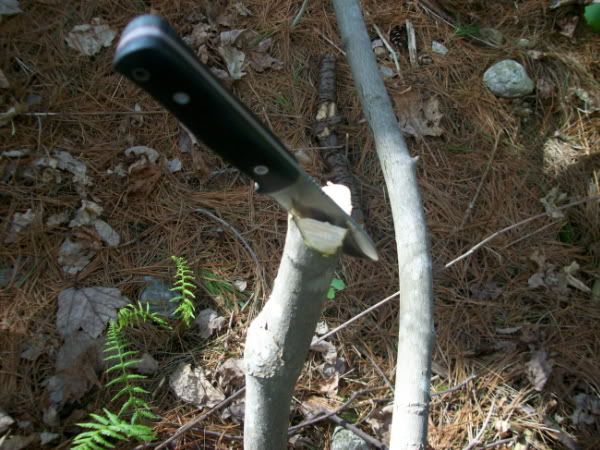 100_0740.jpg