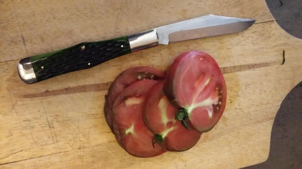 MarblesMaters.jpg