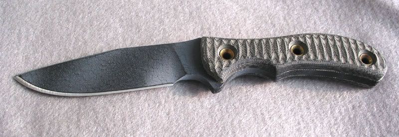 sar-rat-2.jpg