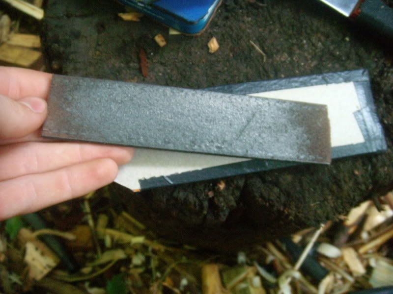 DSCN6555.jpg