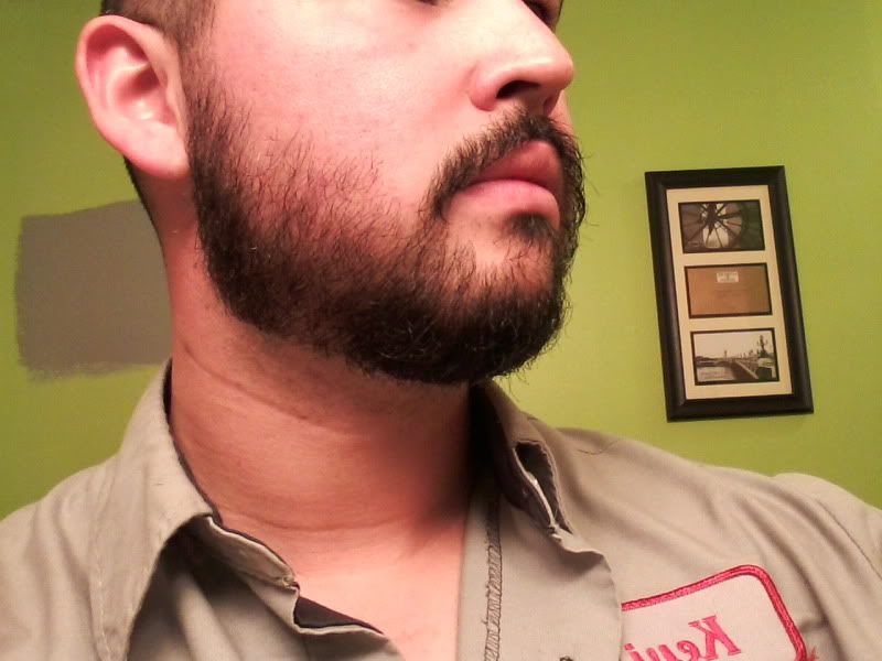 2012-11-07165350.jpg