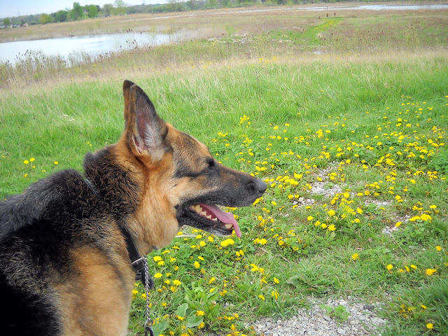 DSCN0214.JPG