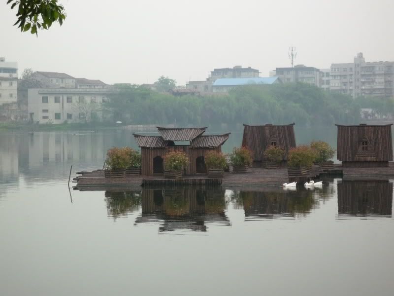 P1060339.jpg