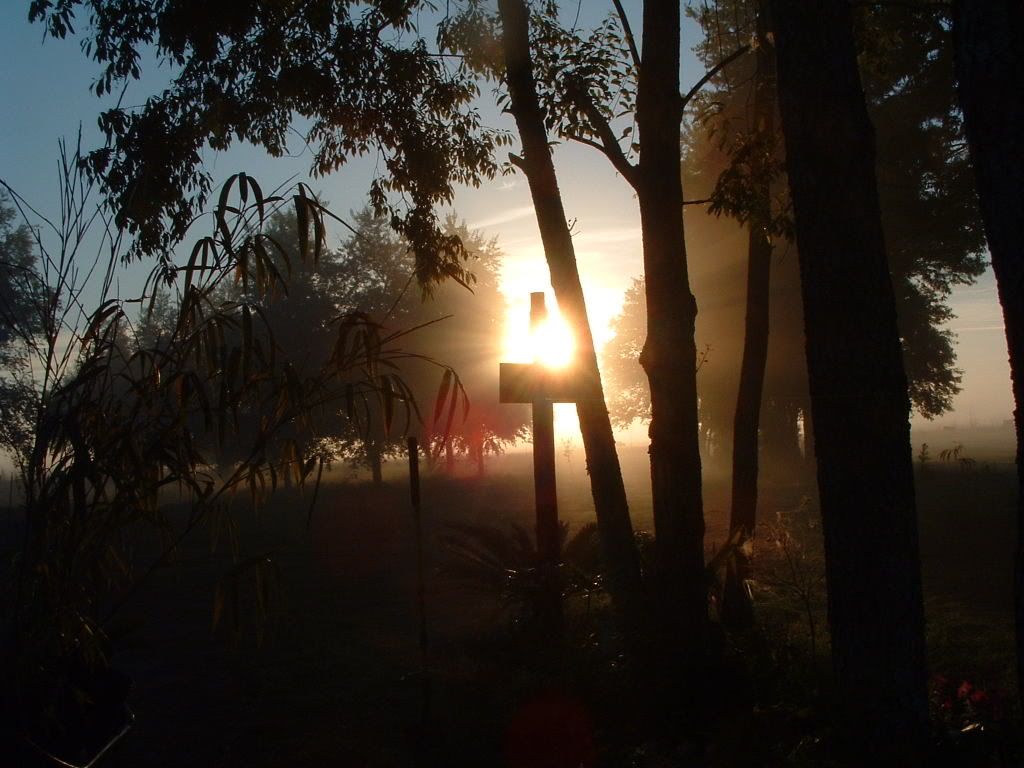DSCF0161.jpg