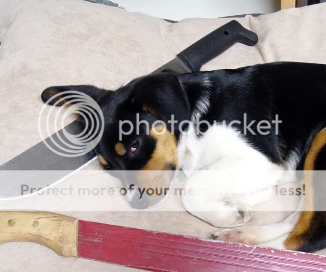 DSC00064.jpg
