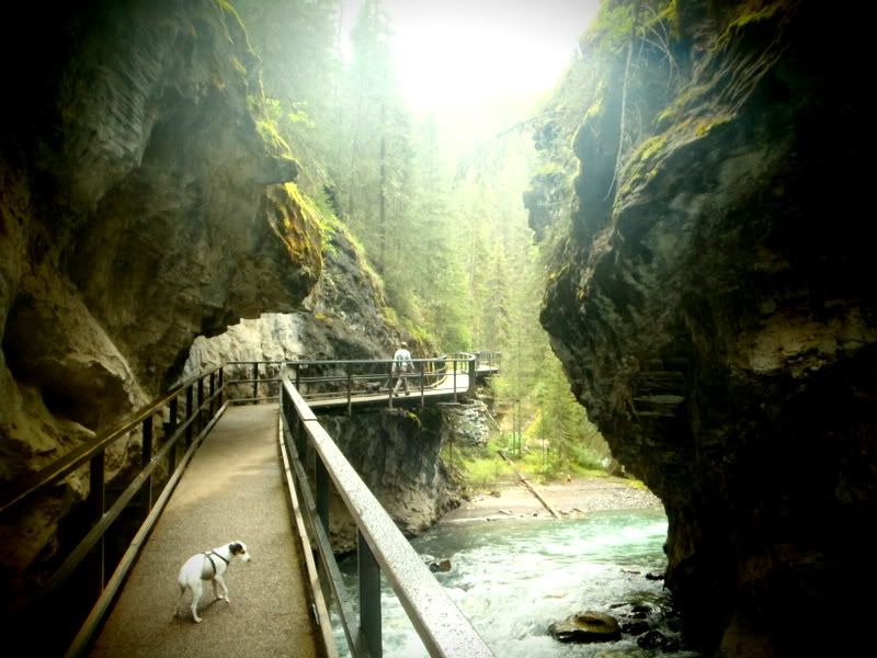 Banff2012262.jpg