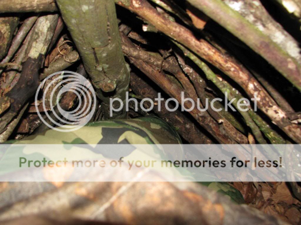 IMG_3421_zps3061a688.jpg