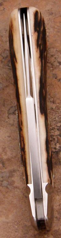 tbose-378-staglannysclip-2.jpg