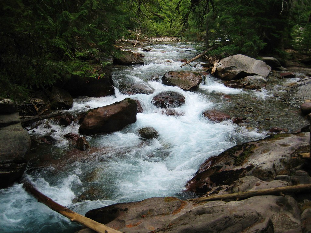 9557008056_9d56815f81_b.jpg