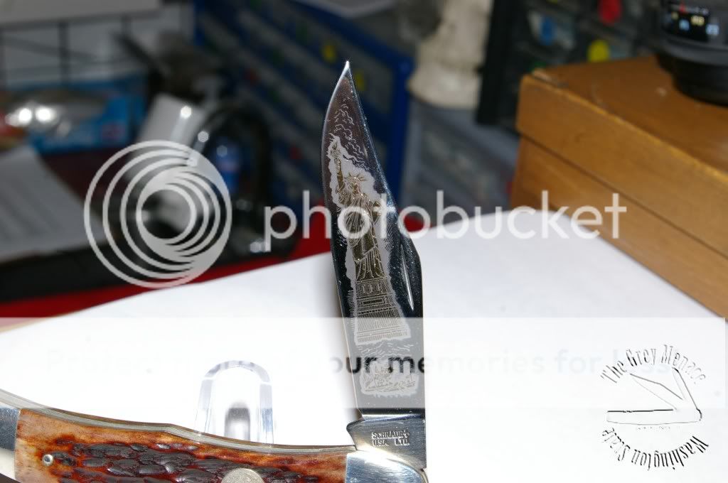 IMGP3756.jpg