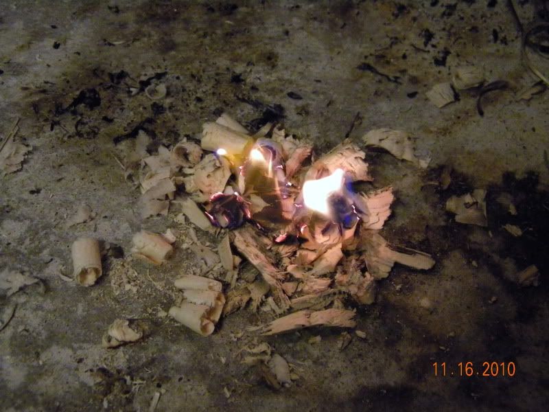 DSCN3104.jpg