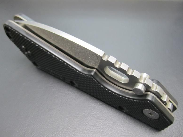 BuckStrider11.jpg
