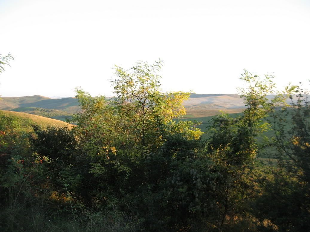 trip8september_2010.jpg