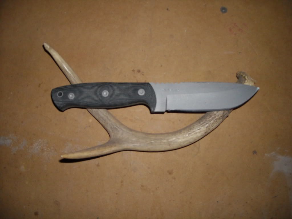 DSCN0006.jpg