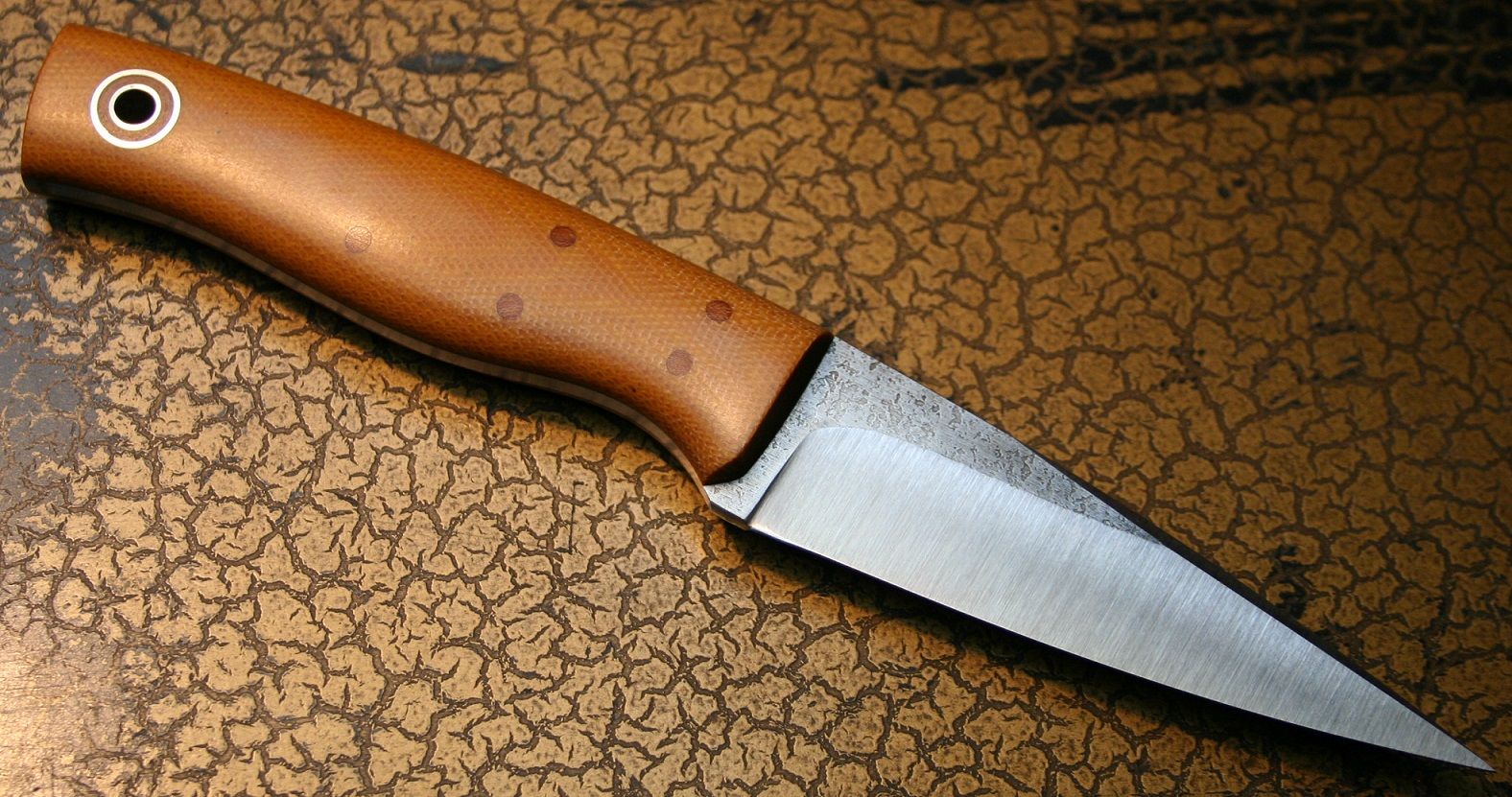 shank_3.jpg