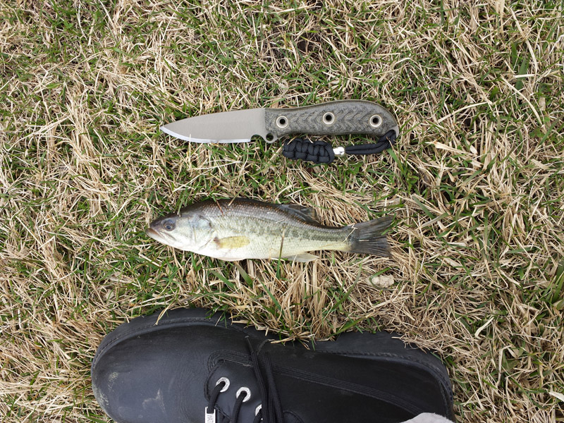 Busse_AD_Bass_01.jpg