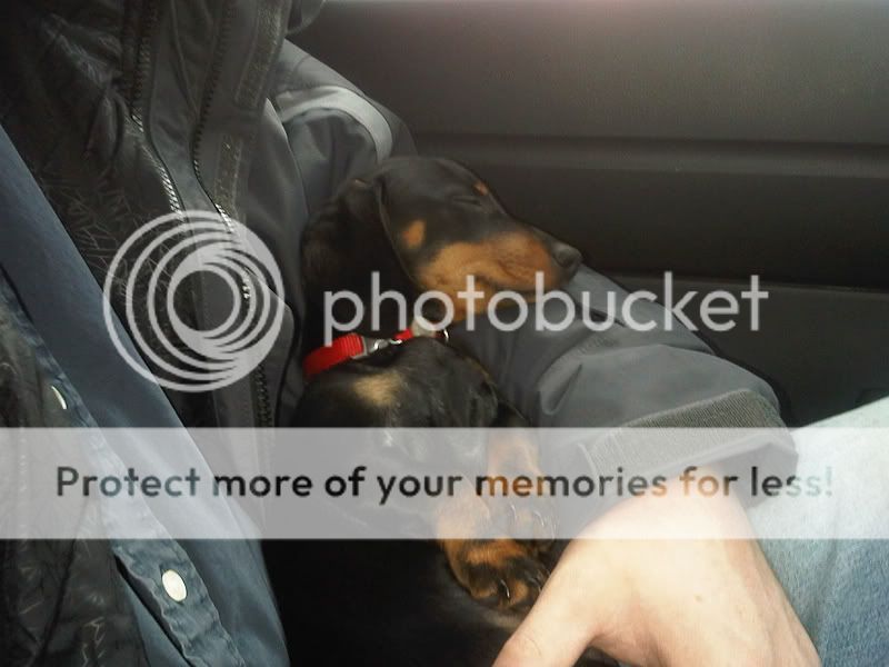 IMG00281-20110112-1515-1.jpg