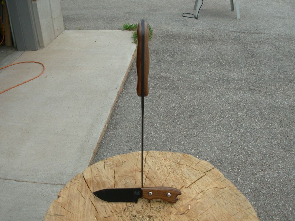 DSCN0922.jpg