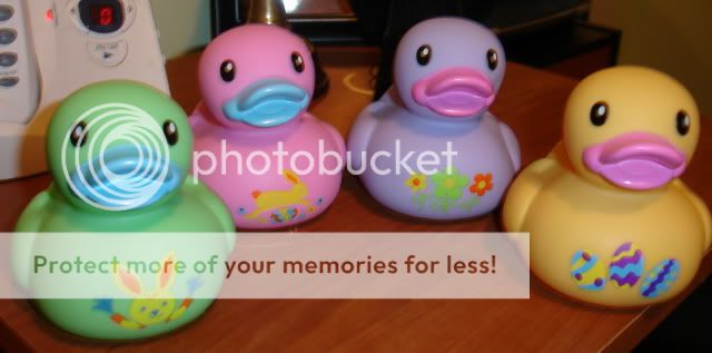 cybershotphotosscenery024.jpg