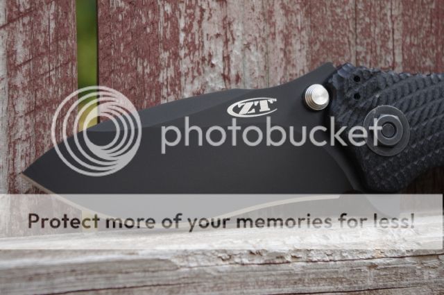 IMGP4084.jpg